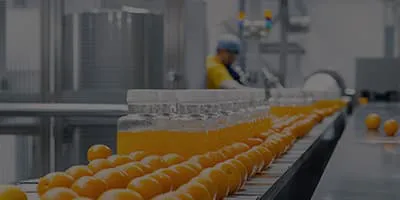 Ind&uacute;stria Aliment&iacute;cia