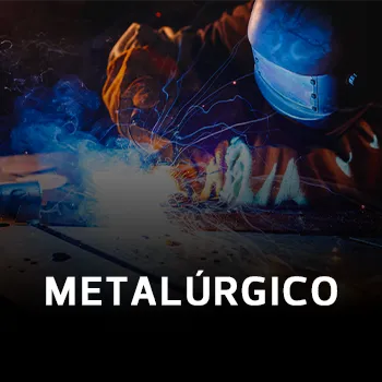 Metal&uacute;rgica